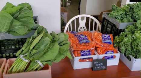 Vegetables on table