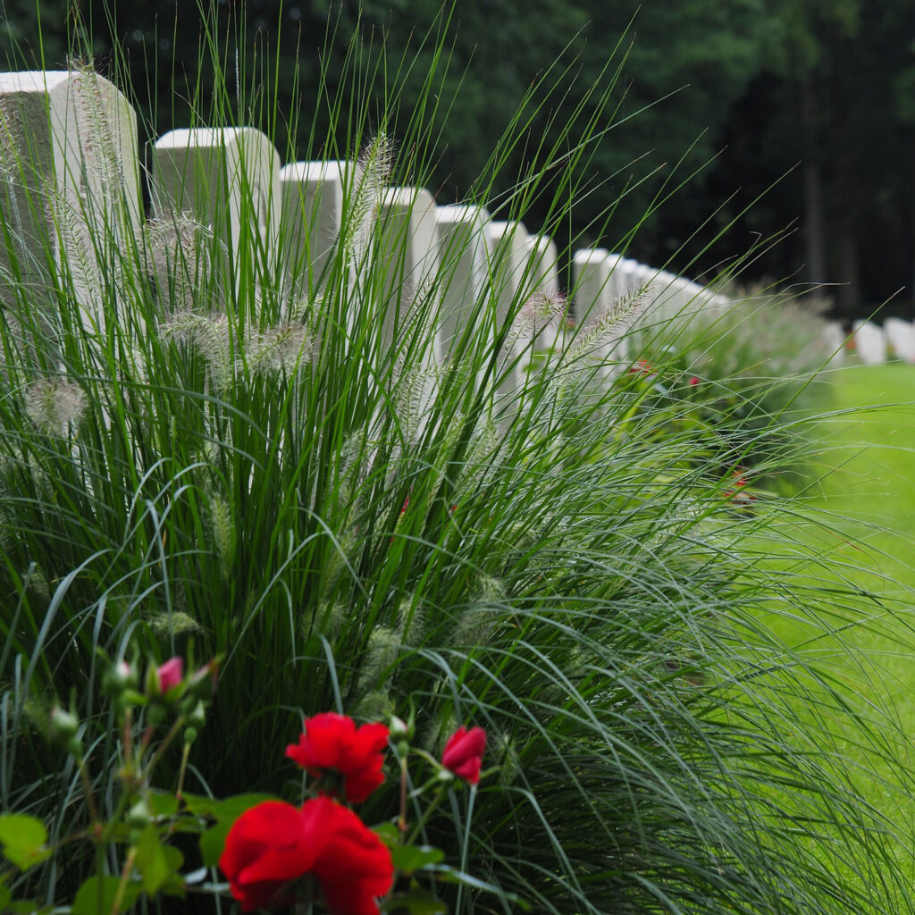 cemetery with flowers