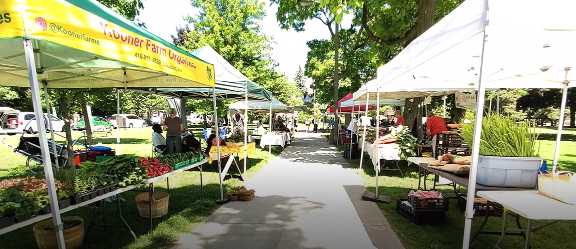 Farmer's Market