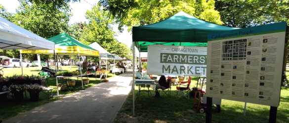 Farmer's Market