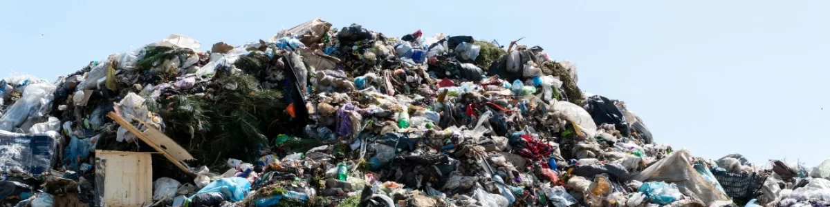 Pileuptrash